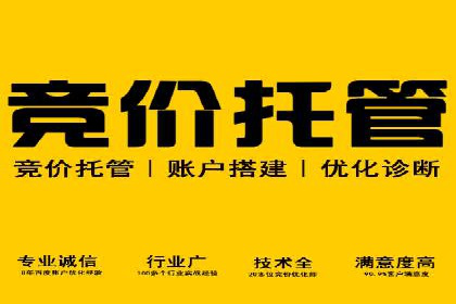 揭秘百度竞价代理：实战案例分析